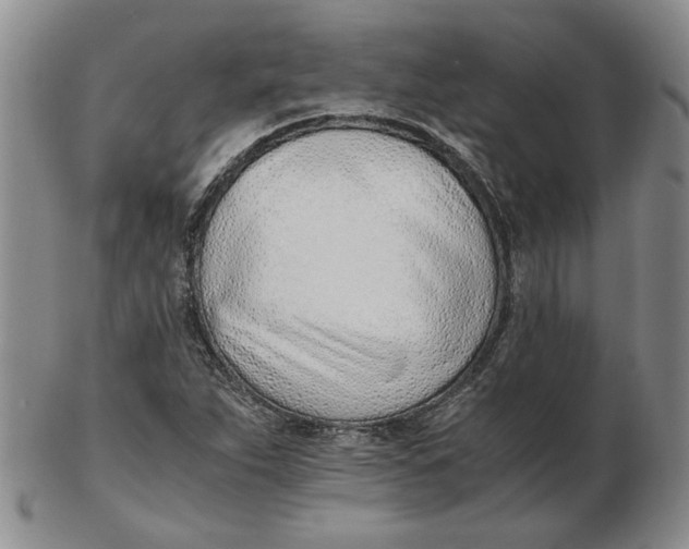 X0000102761263200809080933