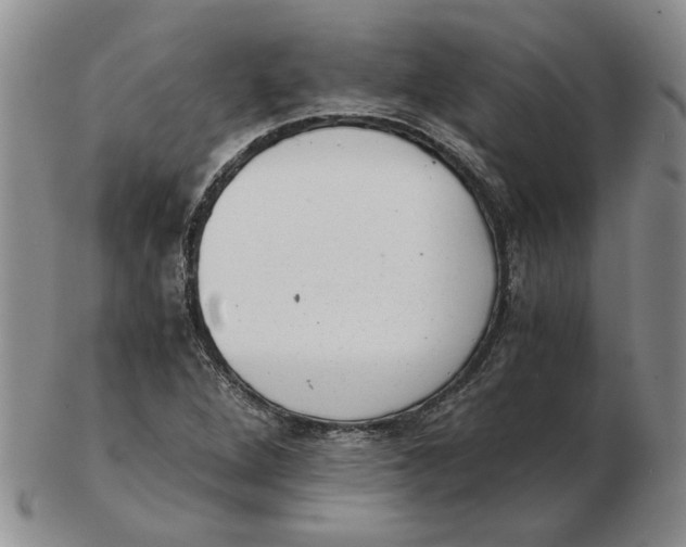 X0000102761264200809080933