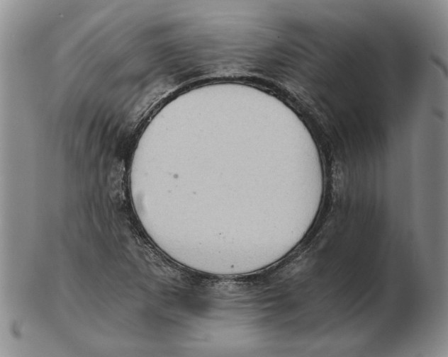 X0000102761265200809080933