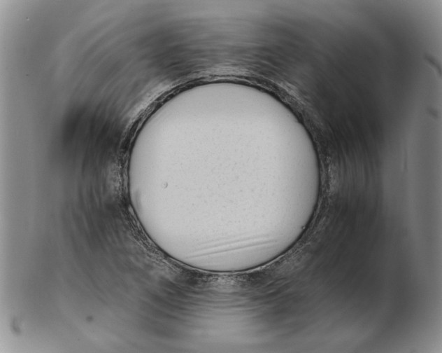 X0000102761266200809080933