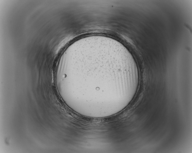 X0000102761267200809080933