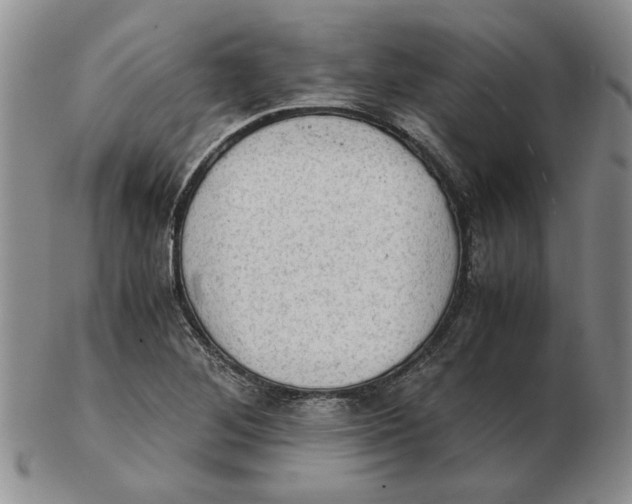 X0000102761268200809080933