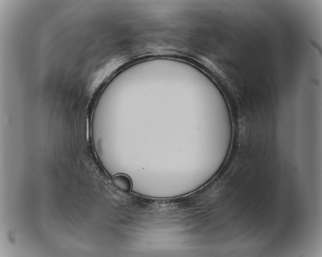 X0000102761269200809080933