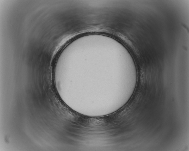 X0000102761270200809080933