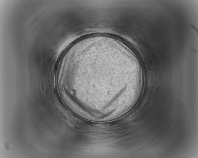 X0000102761271200809080933