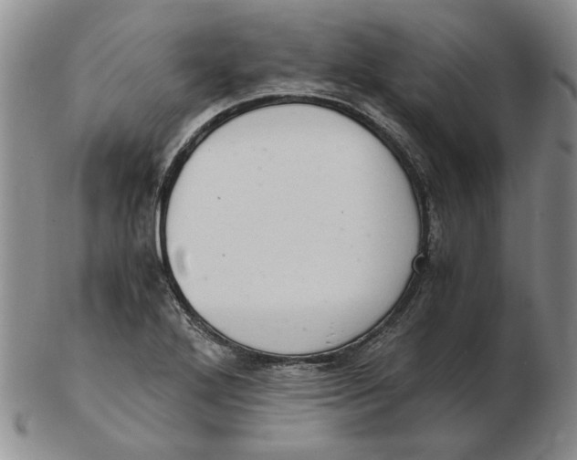 X0000102761272200809080933