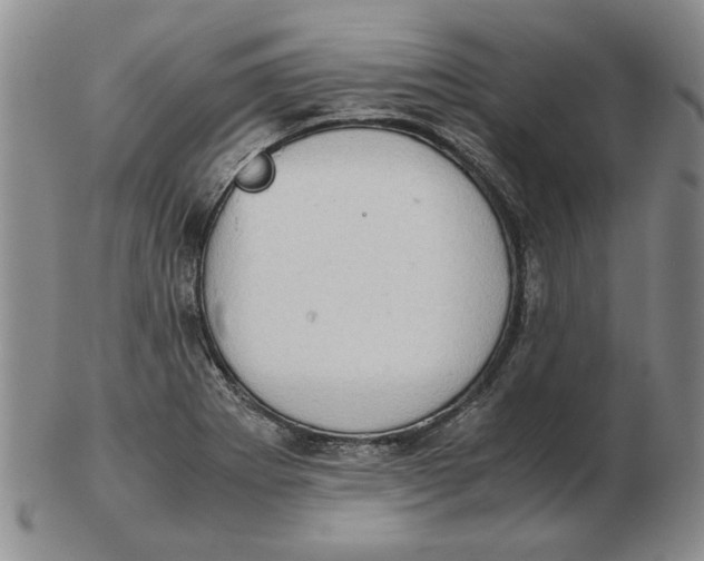 X0000102761273200809080933