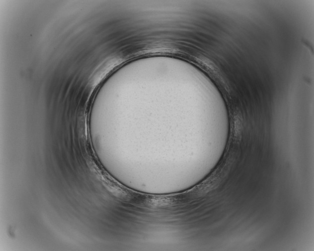 X0000102761274200809080933