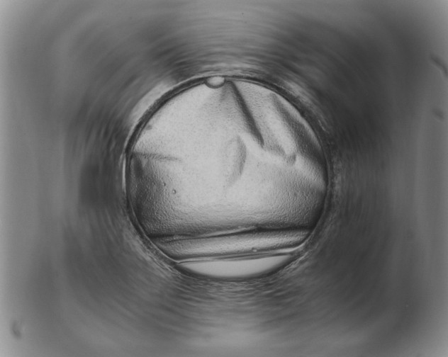 X0000102761275200809080933