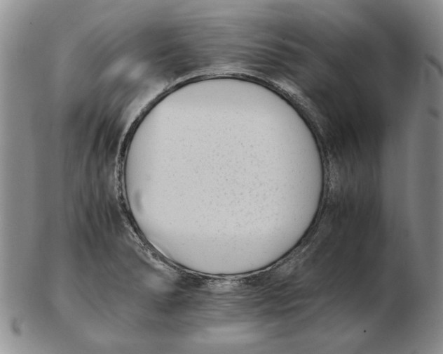 X0000102761278200809080932