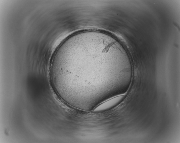 X0000102761279200809080932