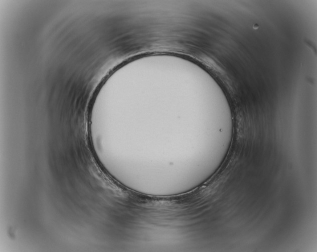 X0000102761280200809080932