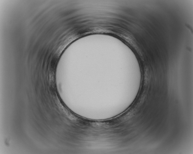 X0000102761281200809080932