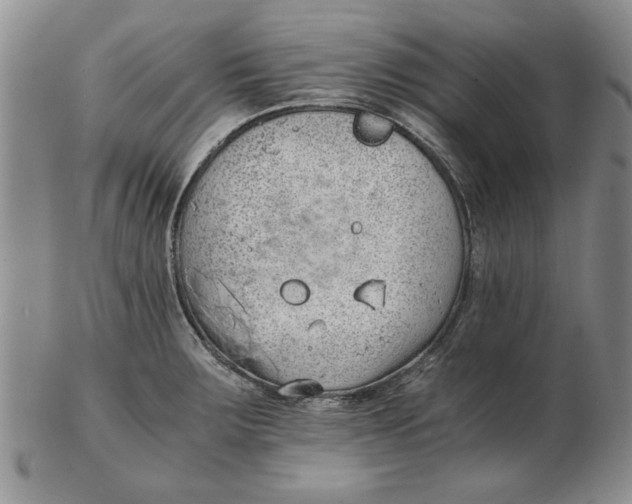 X0000102761283200809080932