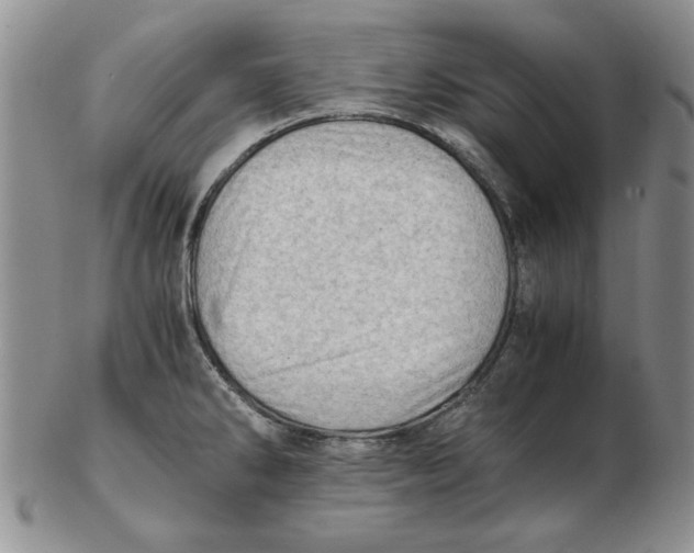 X0000102761286200809080932