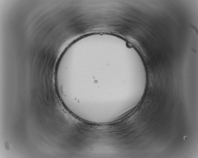 X0000102761288200809080932