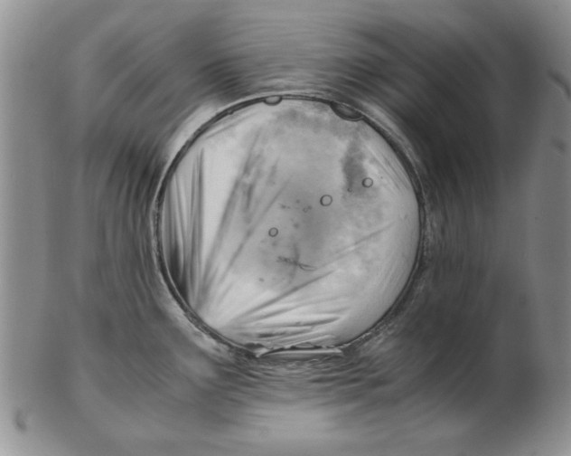 X0000102761291200809080932