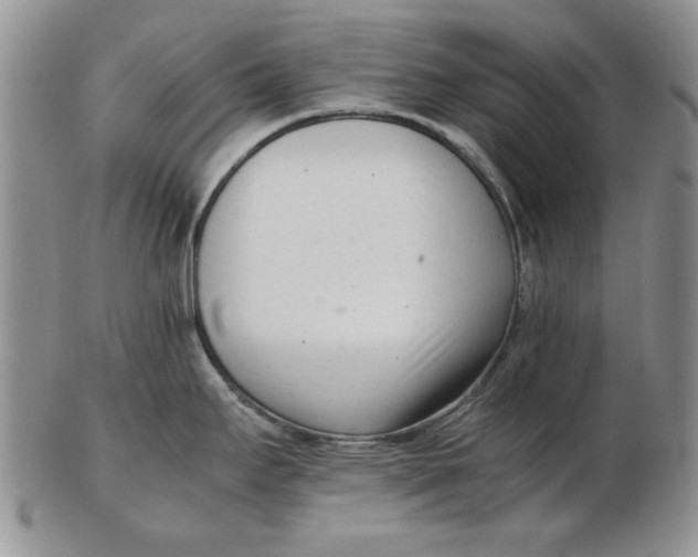 X0000102761295200809080932