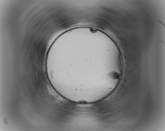 X0000102761296200809080932