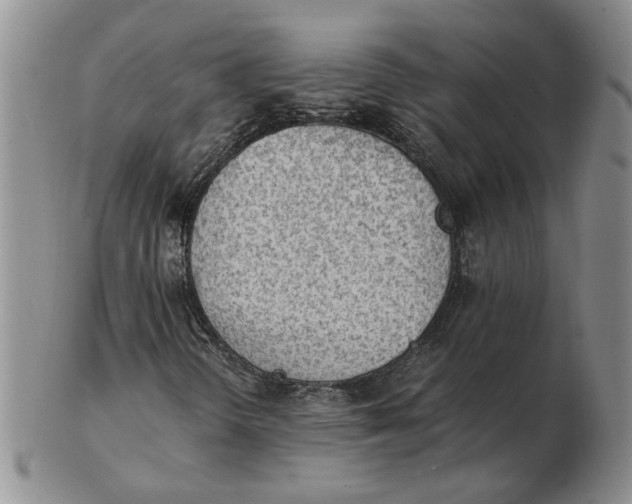 X0000102761298200809080932