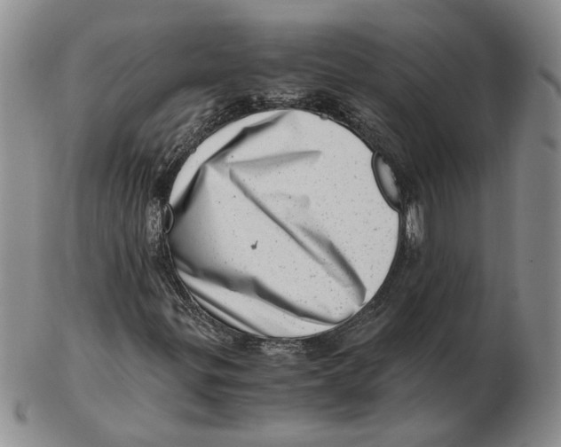 X0000102761299200809080932