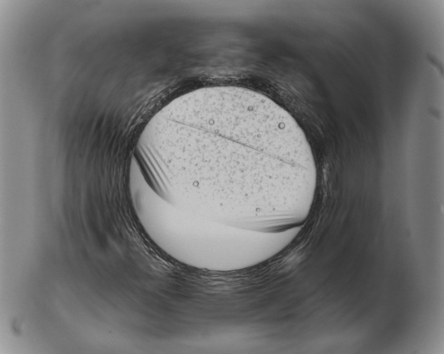 X0000102761300200809080932