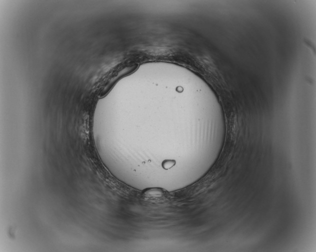 X0000102761301200809080932