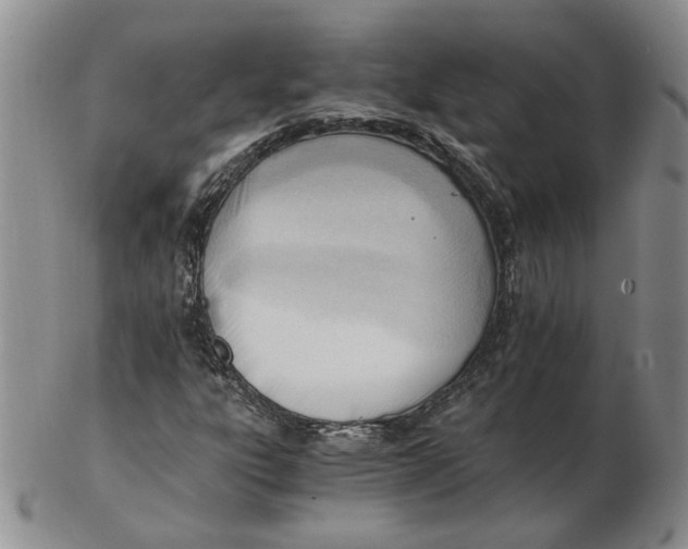 X0000102761303200809080932