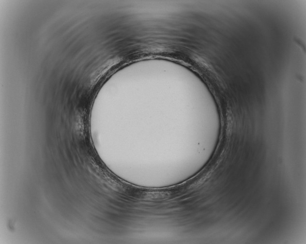 X0000102761305200809080932