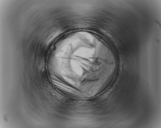 X0000102761306200809080932