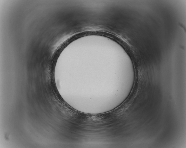 X0000102761311200809080932