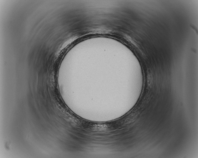 X0000102761315200809080932