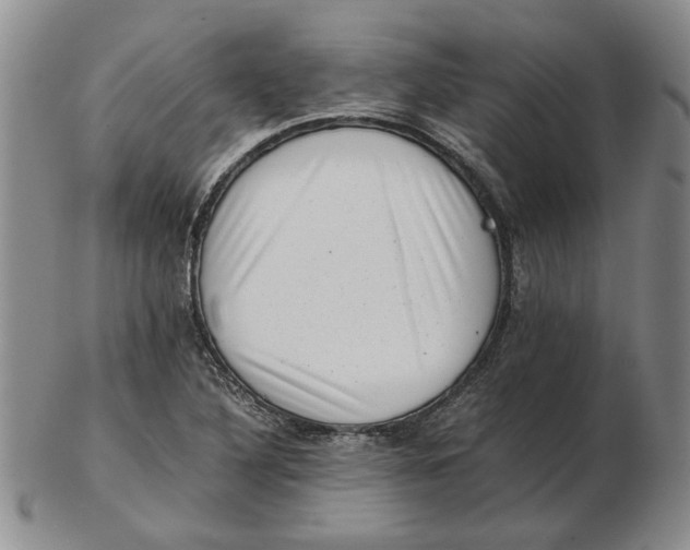 X0000102761316200809080932