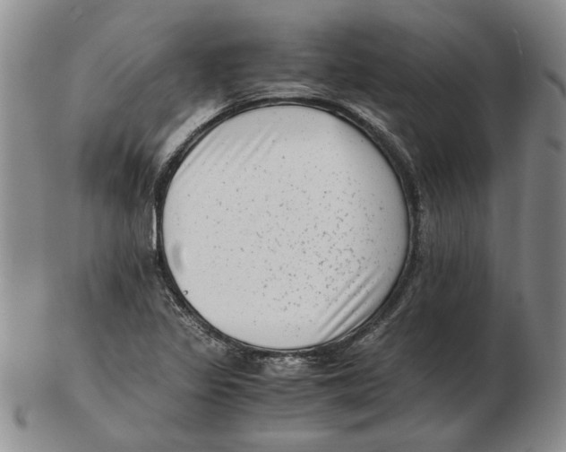 X0000102761317200809080932