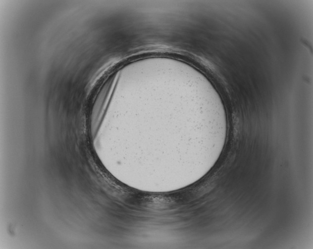 X0000102761318200809080932