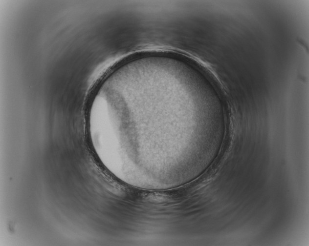 X0000102761319200809080932