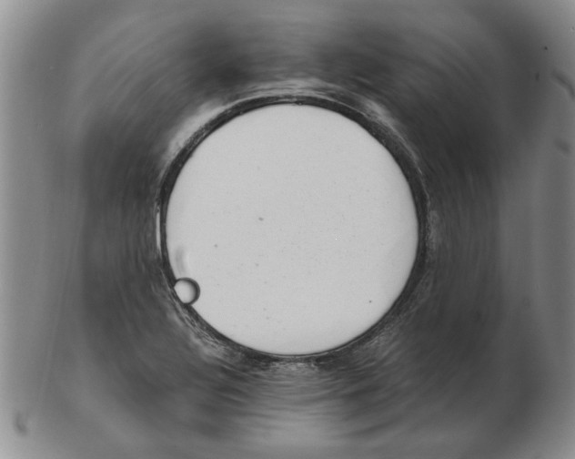 X0000102761320200809080932