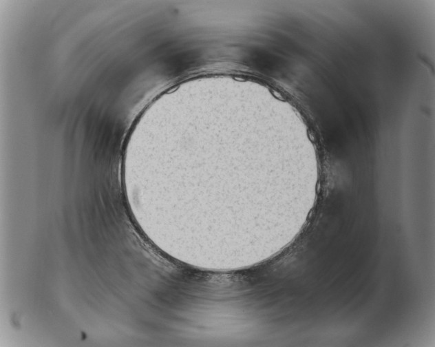 X0000102761322200809080932