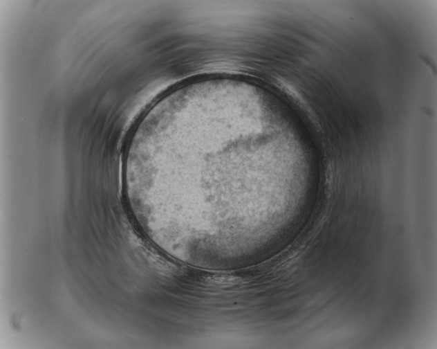 X0000102761323200809080932