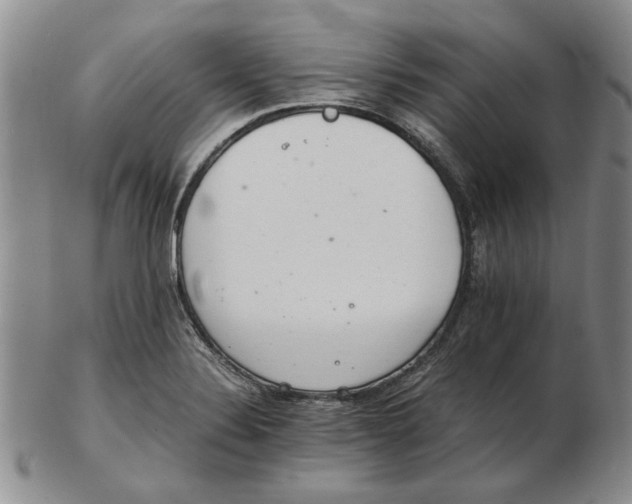 X0000102761324200809080932