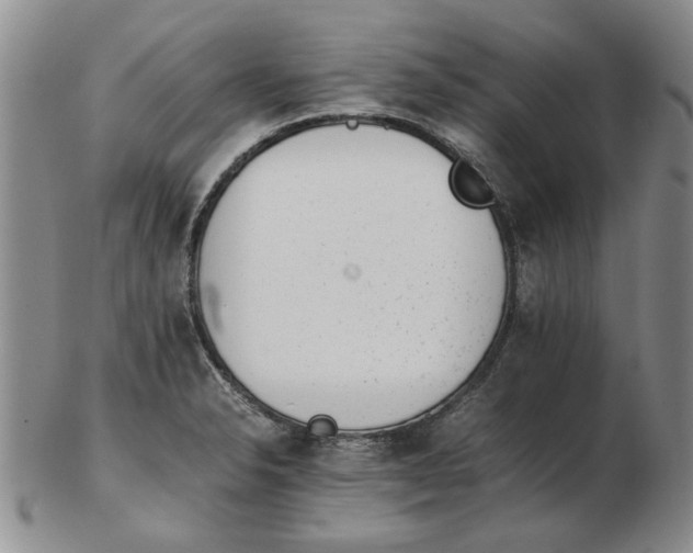 X0000102761326200809080932