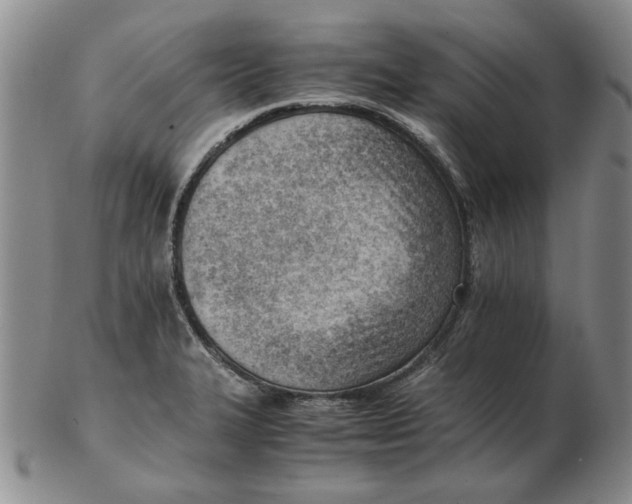 X0000102761327200809080932