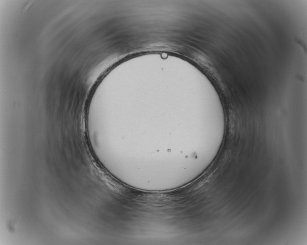 X0000102761328200809080932