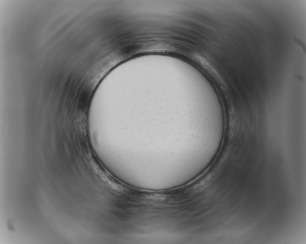 X0000102761329200809080932