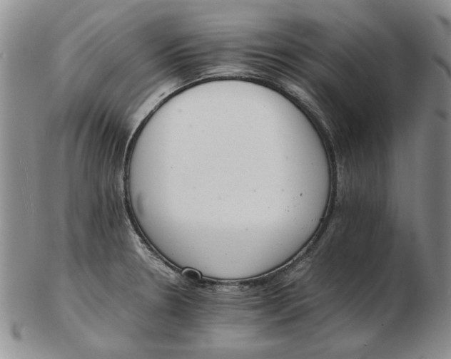 X0000102761330200809080932