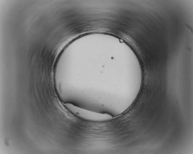 X0000102761332200809080932