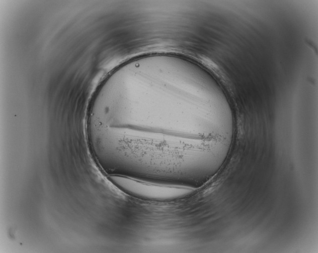 X0000102761334200809080932