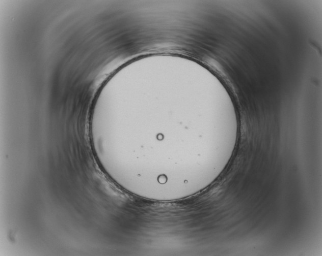 X0000102761336200809080932