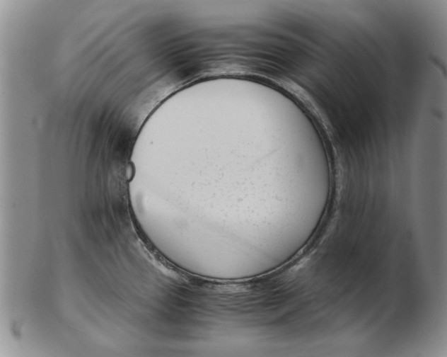 X0000102761337200809080932