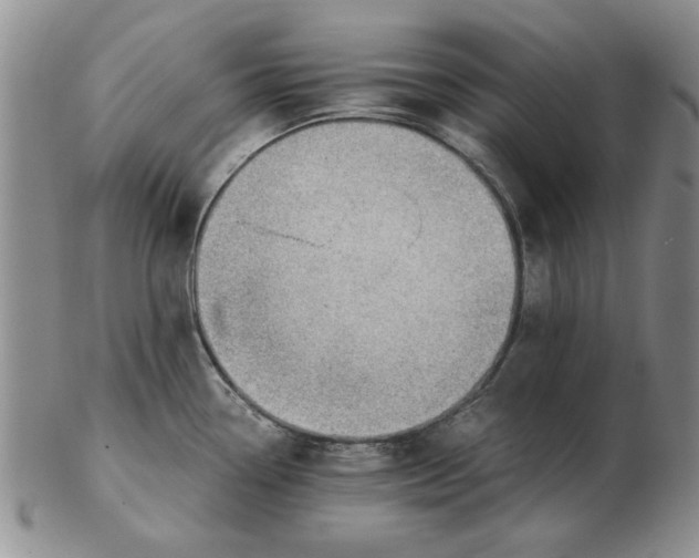 X0000102761338200809080932